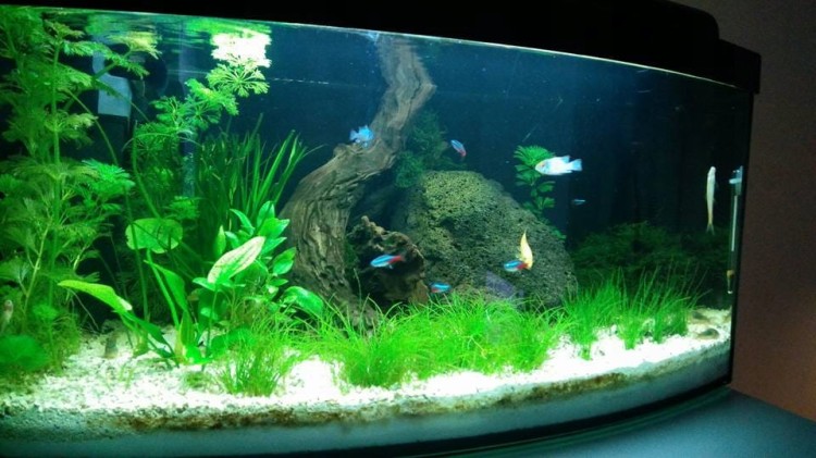 b2f5b163b5e383bb5624a96d2b3b83b1