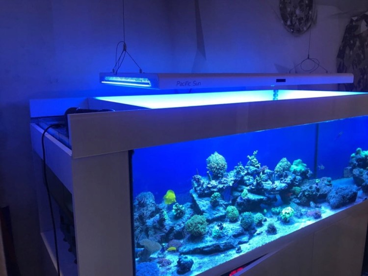 88745a74818f62e0f4d15cd9a91f0a56