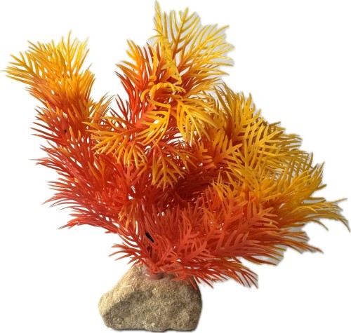 c5637454b3fbb9ac1e607a4177d5f959