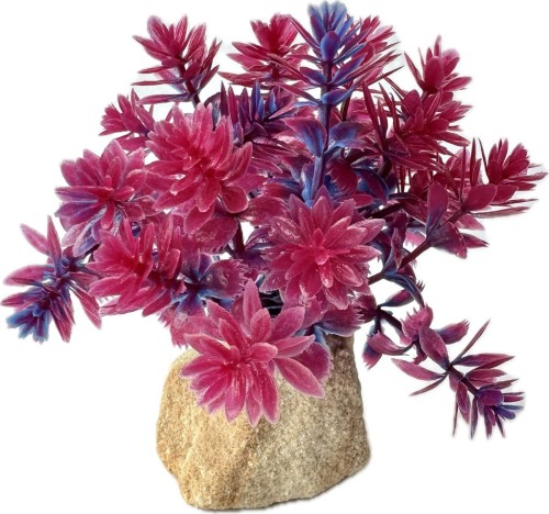 5784962a1194afeacd40933df2001452