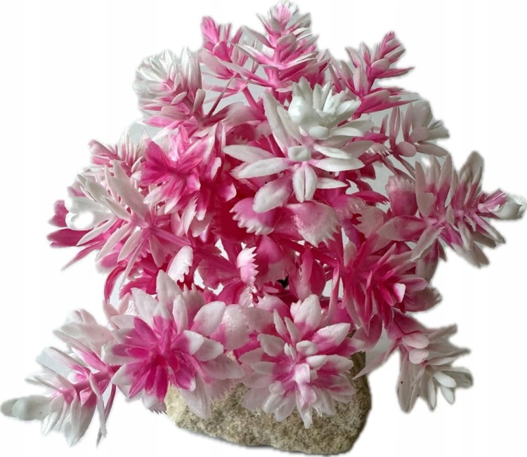 010141d289dea91d666db71b001e7fa0