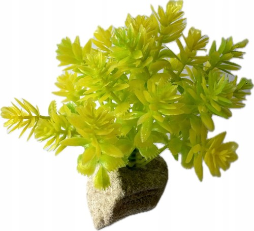 759e37259d78053c5db1e5ffd82d1b50