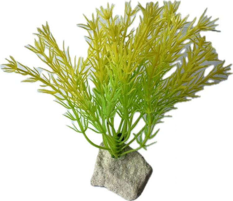 a1bc893b3a261e576c125040cb78a37e