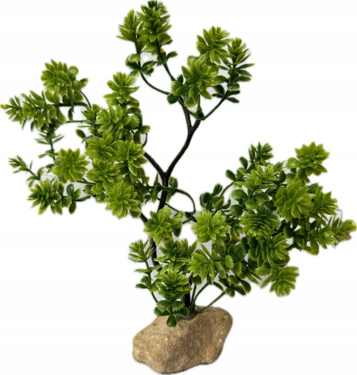 dfc6c970c4f2b5b3a0b52768ad25e810