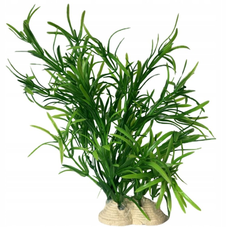 0bf5bc3c5d9067864424977ee9d6c06b