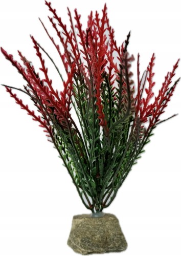 04b5ac9d7c4c9a6972f1224d9db9c288