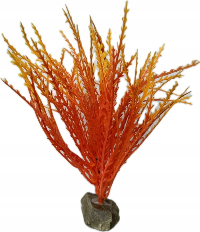 03f22ec3184f3c5dbbc935e2c4937464