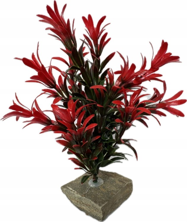 66ae9975e566d86860de9acf7a71cae9