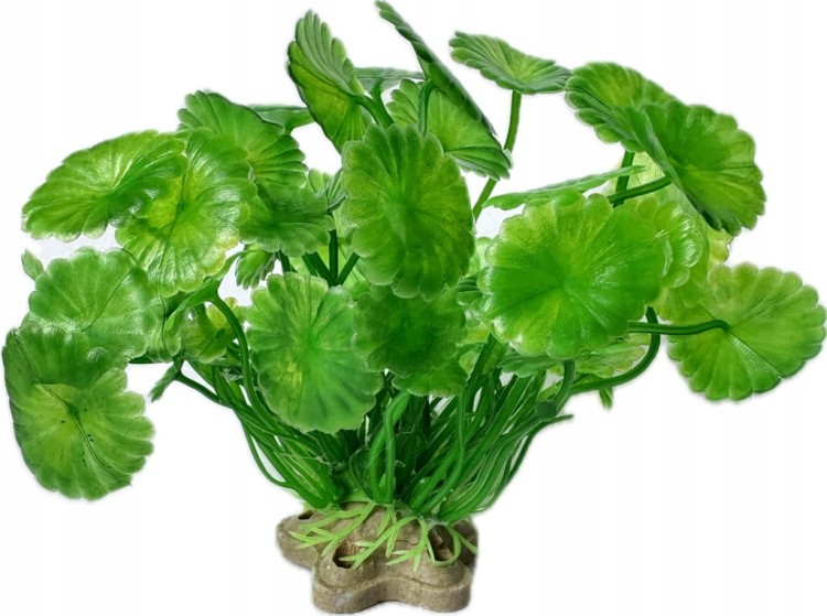 184468b676957895badc24af7cecec4a