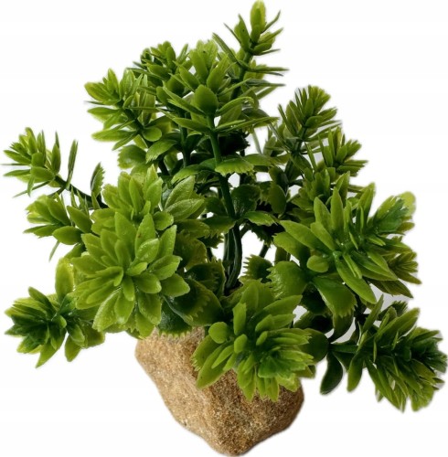 dcc993082b9366ab97e19725e2d89d36