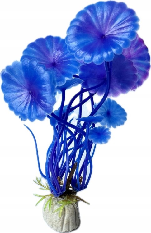 82e732b495aa38616dad085255cd2a8d