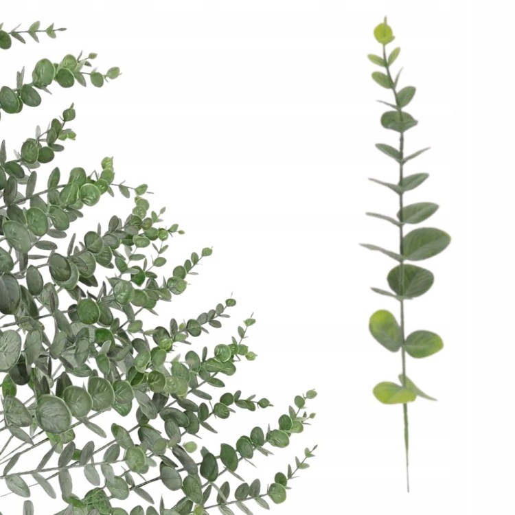 a4132e31507120ad8171f7c49905877e