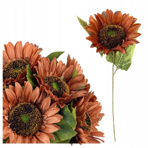 21348fb46c7871f460cd85b99e17a5a8