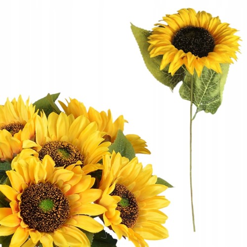 ba90e66e5cdc4bfaa3575c5f965e7614