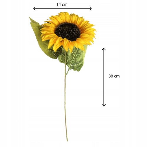 53e3fd338f422d001f255b1e2b9f49ea