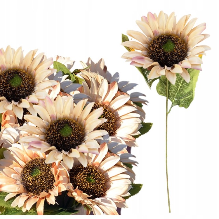 71419d8207ca1f6020f5d1393bf57752