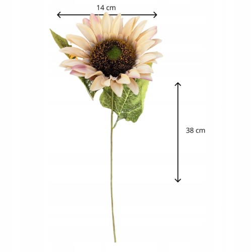 33b234de9fde62594b94f89380a9940d