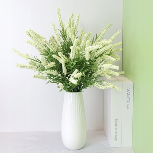 89f82ddfbc0b5a0877ab9165713e0f58