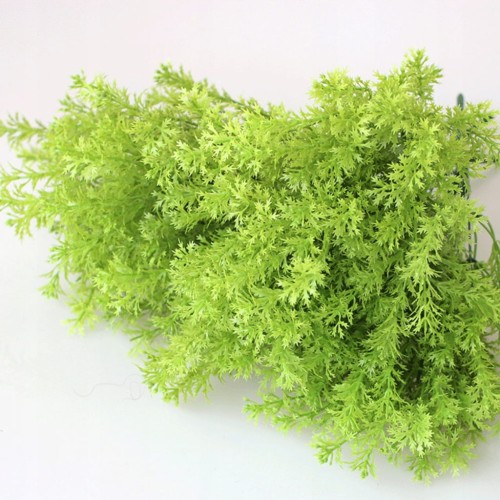 01e42bbd78219d5aaf45fc593d87d67e