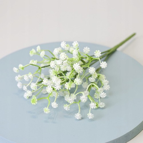 e7722901829ee93bcfab2879c49faa2b