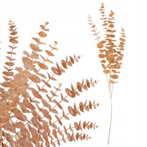 6ae93b8c6f303ea4e3115acfa28ee5f3