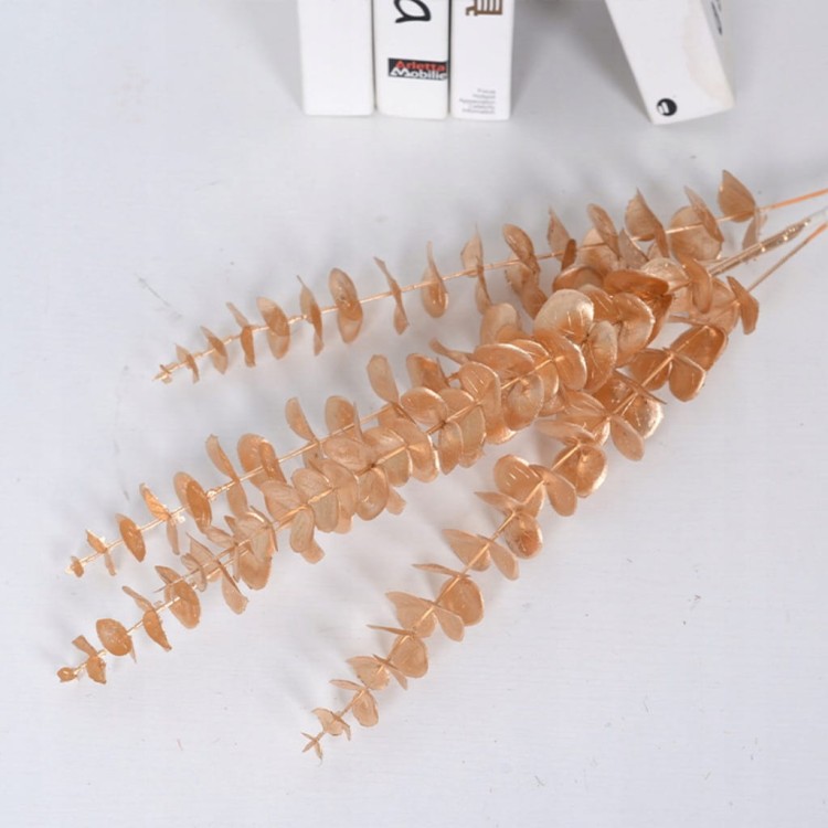 bea18504c38d23c64e09902ca4a16c14