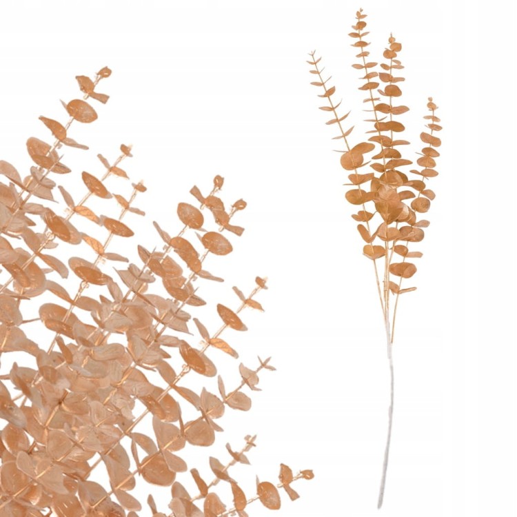 88b7d41908683b506f7bbd8307ddc473