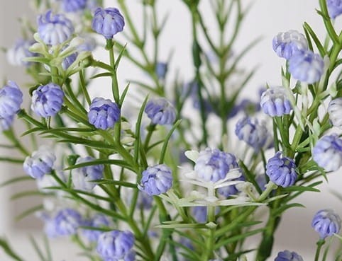 fd46405c16e2d92e504fc91988420c0e