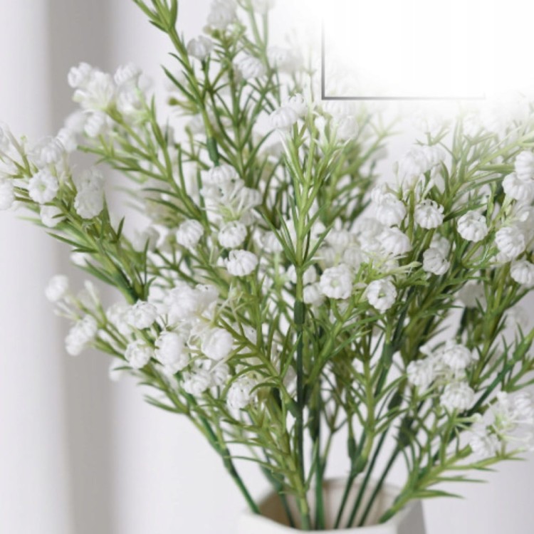 92ec3333a86c0808a6b95cffd26f837a