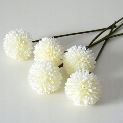 17dc1167668478960f3f3a48f69f4ef5