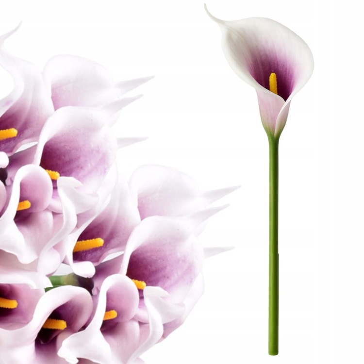 62b45e9a3aebca4378792b0b3d50e985