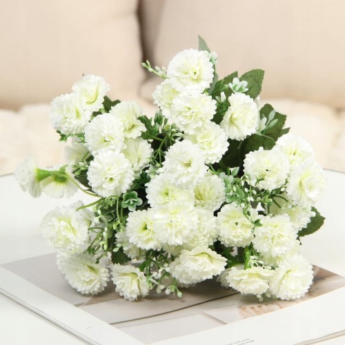 f231c7f02a22b8ea9803c0679783f6e4