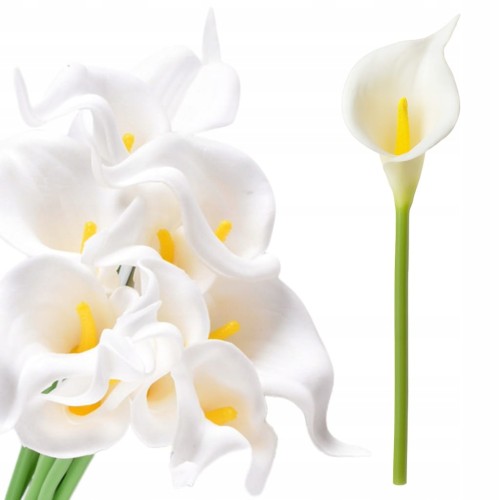 a5eda222ab52b1f5c5404af4732094da