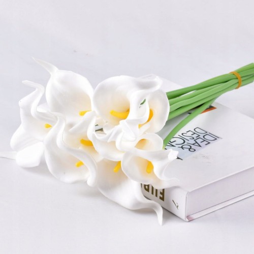 d59bb621aba3318c0359c5e454b550d4