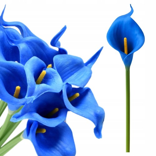 786c31beb0efeb31cb8b46581014293c