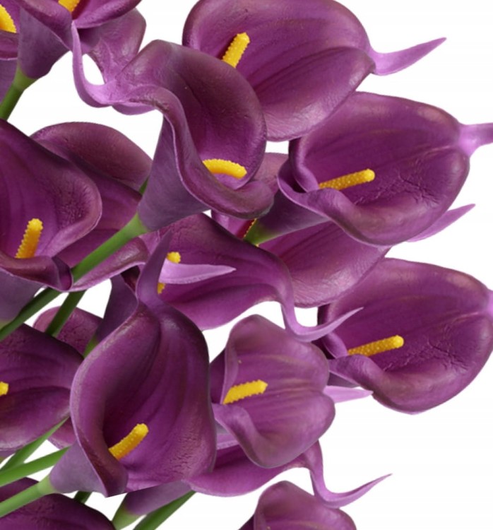 9c96fb67cf14bb5d68d42384d82979a3