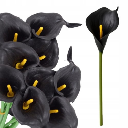 891650ac14014cd5188aad8b97381b41