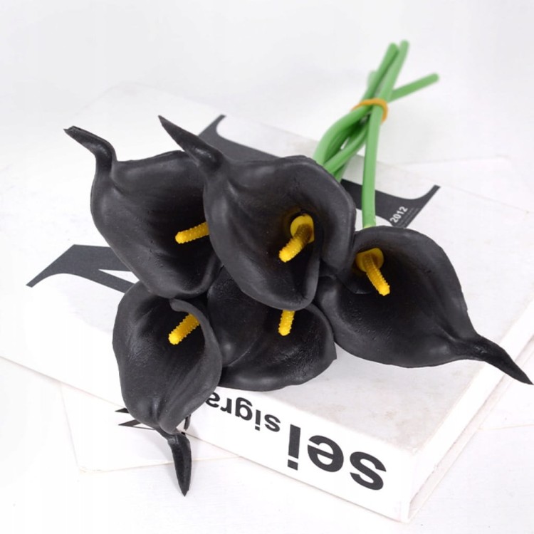 eb29b912f26fc5ad78c05ab8a99dce2d