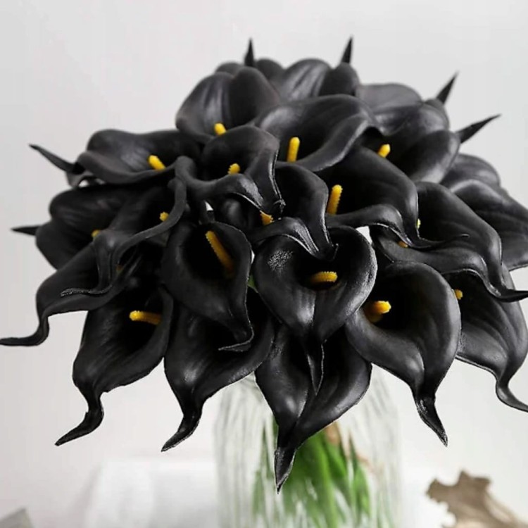 19320137738bd07aababbade929ff6c1