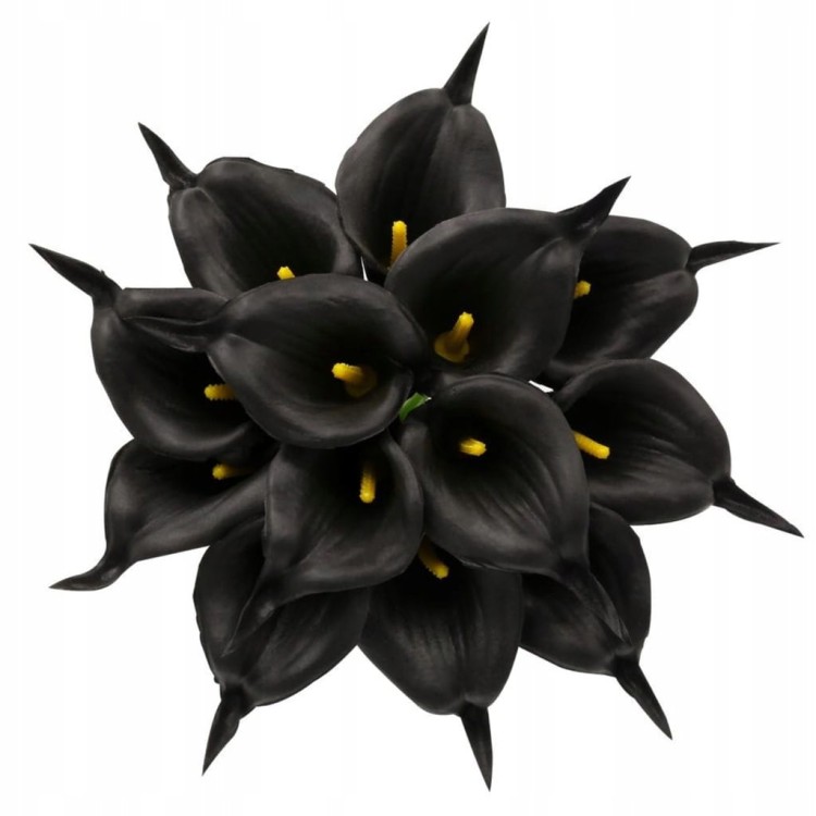 c3c86734de309814889d4bc7307be9b4