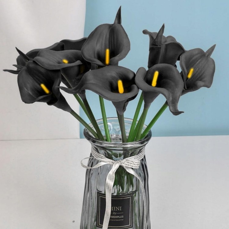 2b4c2768b19bf0cb992ed2bc3bee3366