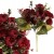 3660ea393452c1ed726348fc6529042f