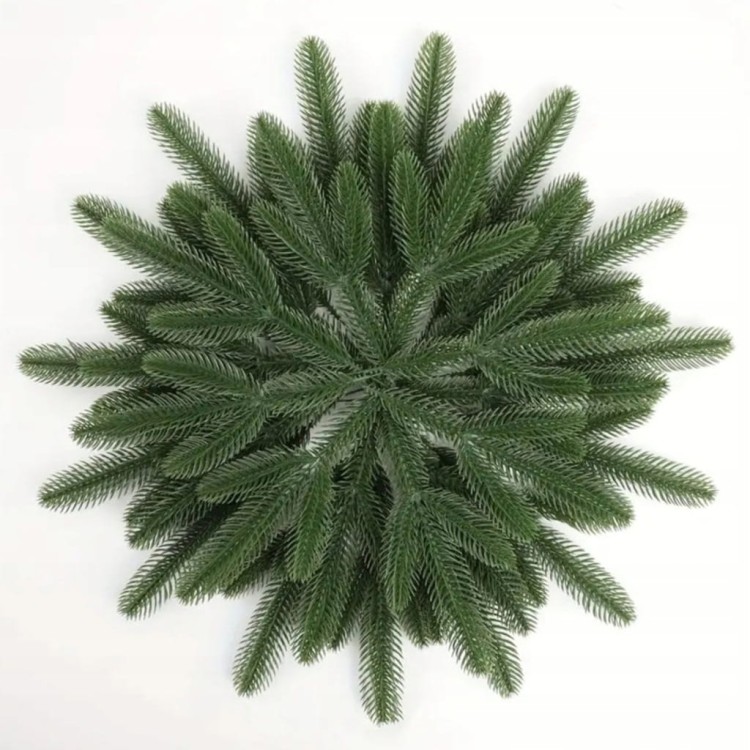 558d5af8b27d8ca7420a0f69b37a01c1