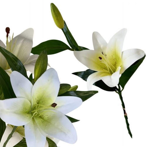 cd475c8d50736bd6e7533c41d53e30f3