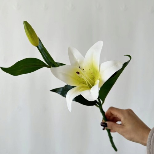 31865e641a2f85073517f9fc4e0f401c