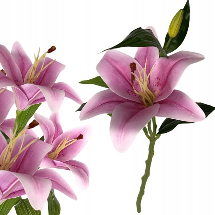 a7d2a215d9ba83ea7d88dd8ae2d179b1