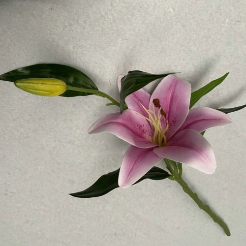 15a6b588ad3c0645d16c492097ebe96f