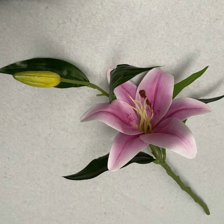 15a6b588ad3c0645d16c492097ebe96f