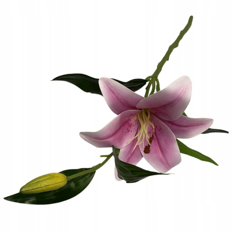 72a2eaa9181251170039d56c337016d0