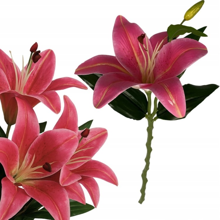 4b1a3e53439ca8f094bb8d60ada8675c